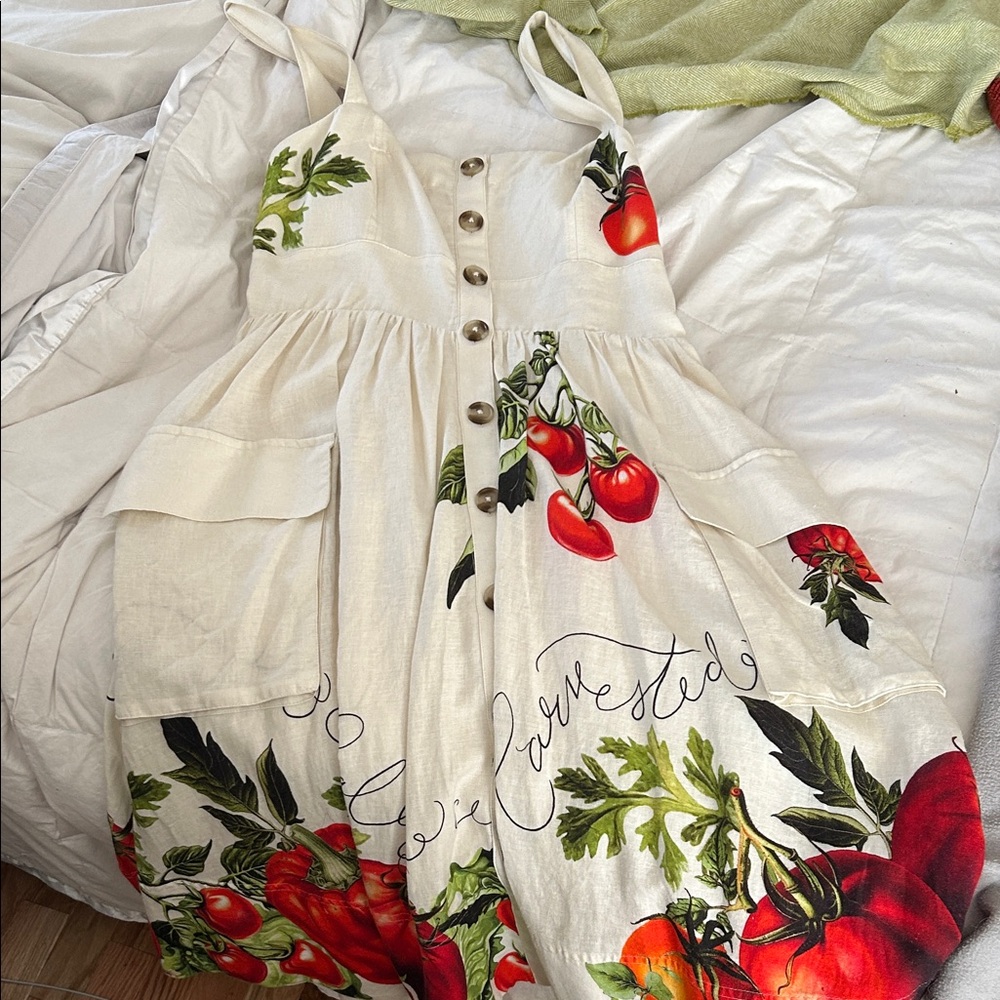 Anthropologie Maeve button front tomato Dress